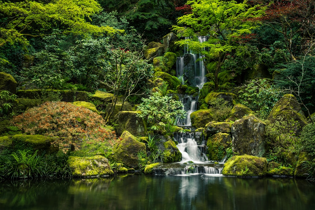 Photo Japanese garden